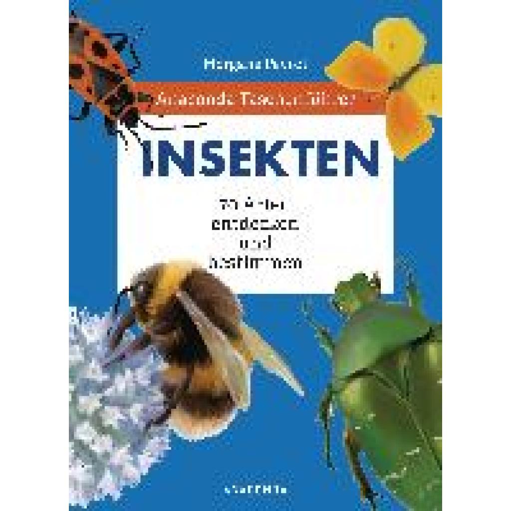 Peyrot, Morgane: Anaconda Taschenführer Insekten. 70 Arten entdecken und bestimmen