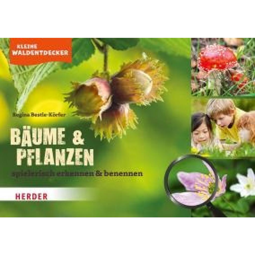 9783451389863 - Kleine Waldentdecker Bäume & Pflanzen - Regina Bestle-Körfer Kartoniert (TB)