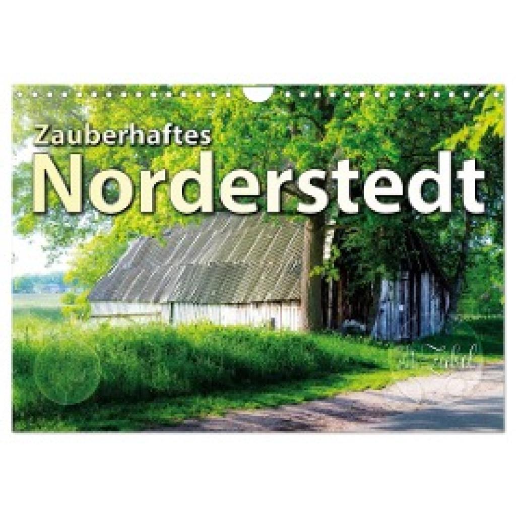 Zabel, Birte: Zauberhaftes Norderstedt (Wandkalender 2025 DIN A4 quer), CALVENDO Monatskalender