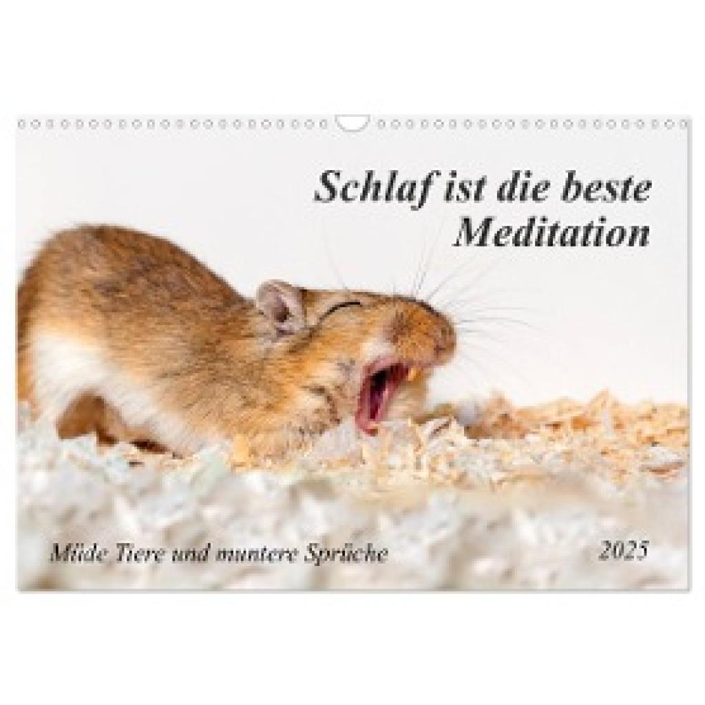 Waurick, Kerstin: Schlaf ist die beste Meditation (Wandkalender 2025 DIN A3 quer), CALVENDO Monatskalender