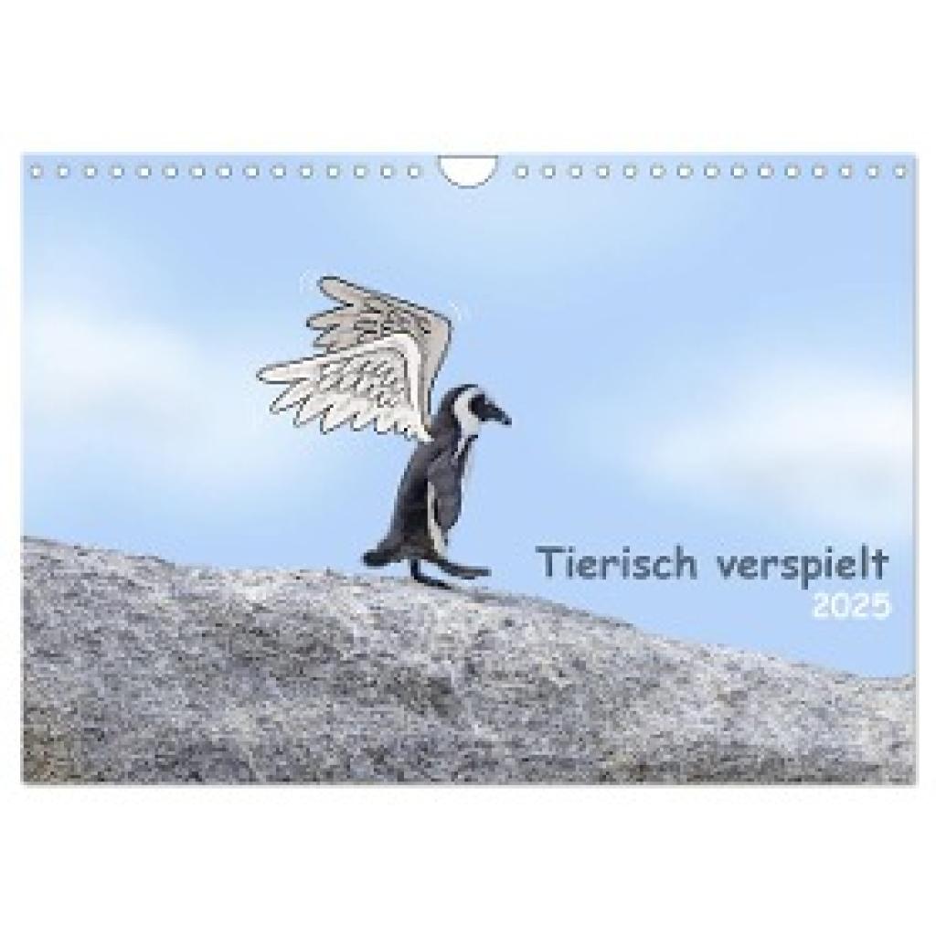 Www. Photoon. Ch, Www. Photoon. Ch: Tierisch verspielt (Wandkalender 2025 DIN A4 quer), CALVENDO Monatskalender