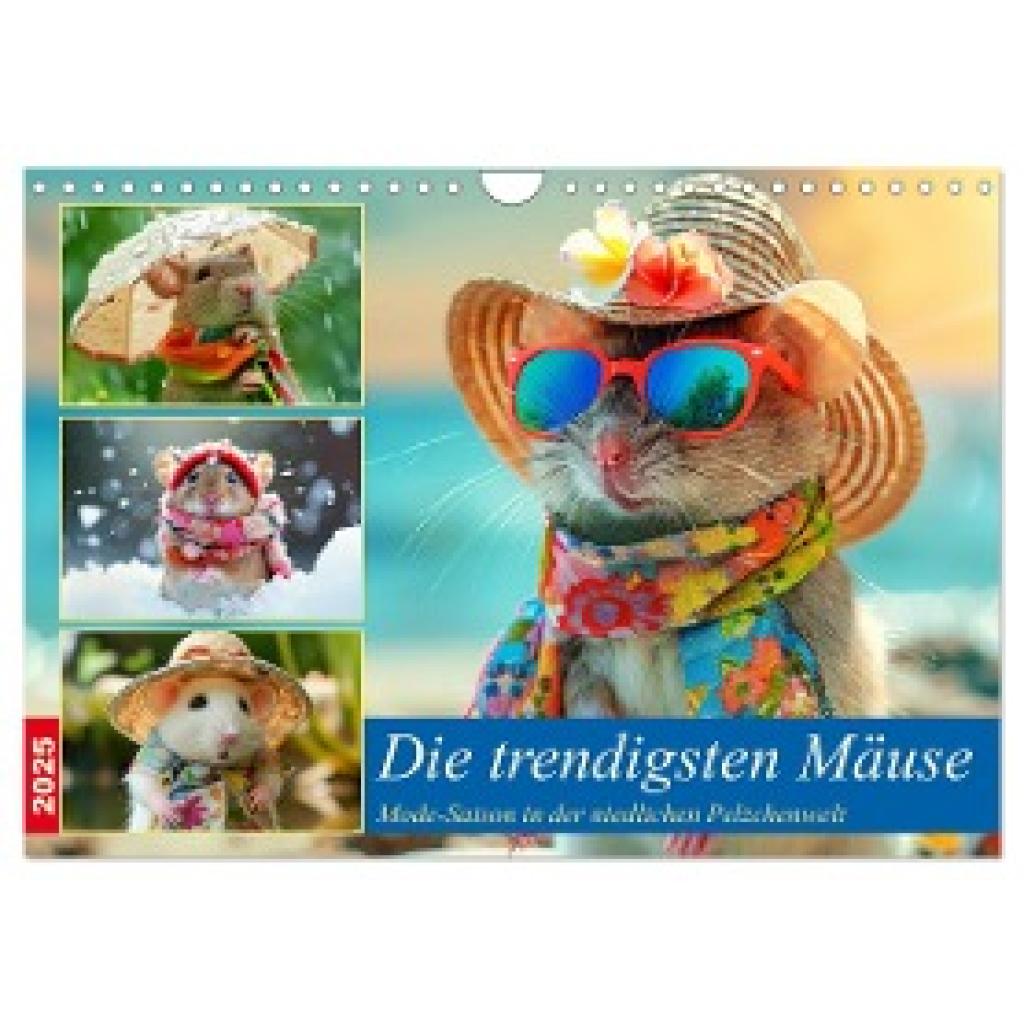 Hurley, Rose: Die trendigsten Mäuse. Mode-Saison in der niedlichen Pelzchenwelt (Wandkalender 2025 DIN A4 quer), CALVEND