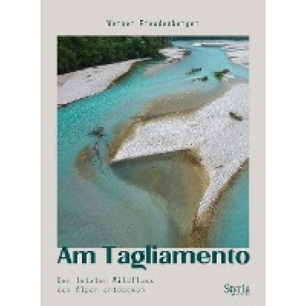 9783222137259 - Am Tagliamento - Werner Freudenberger Kartoniert (TB)