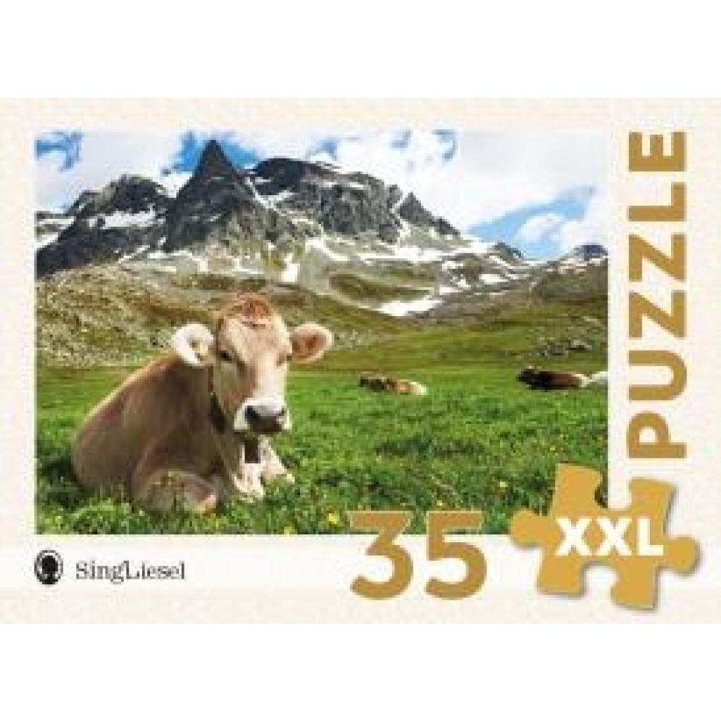 Demenz-Puzzle: Alpen. Das Demenz-Puzzle-Spiel mit 35 Puzzle-Teilen im XXL-Format.