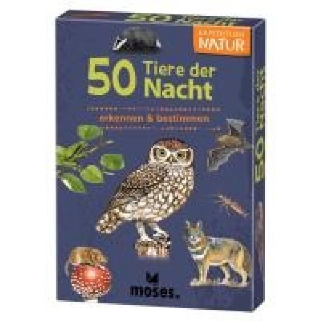Kessel, Carola von: Exp Natur 50 Tiere der Nacht