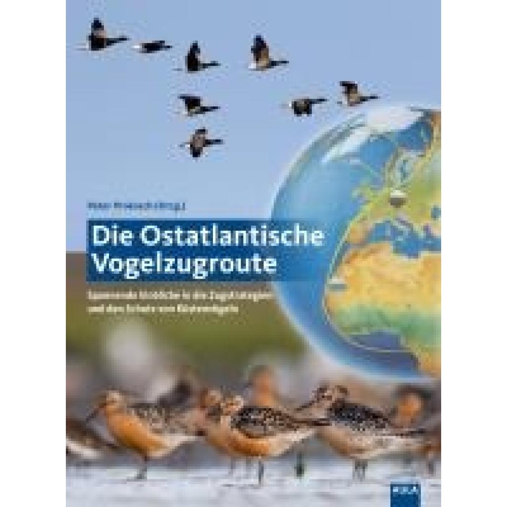 Die Ostatlantische Vogelzugroute