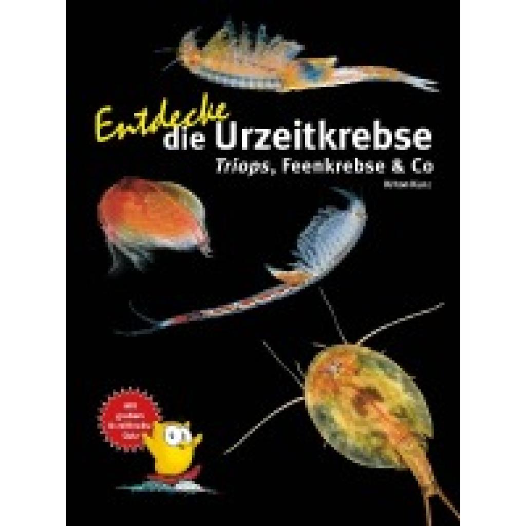 9783866595033 - Entdecke die Urzeitkrebse - Kriton Kunz Gebunden