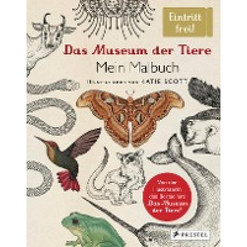 9783791372938 - Das Museum der Tiere Mein Malbuch - Katie Scott Gebunden