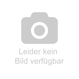 9783706625623 - Die Kraft der Kräuter nutzen - Irene Hager Astrid Schönweger Alice Hönigschmid Gebunden