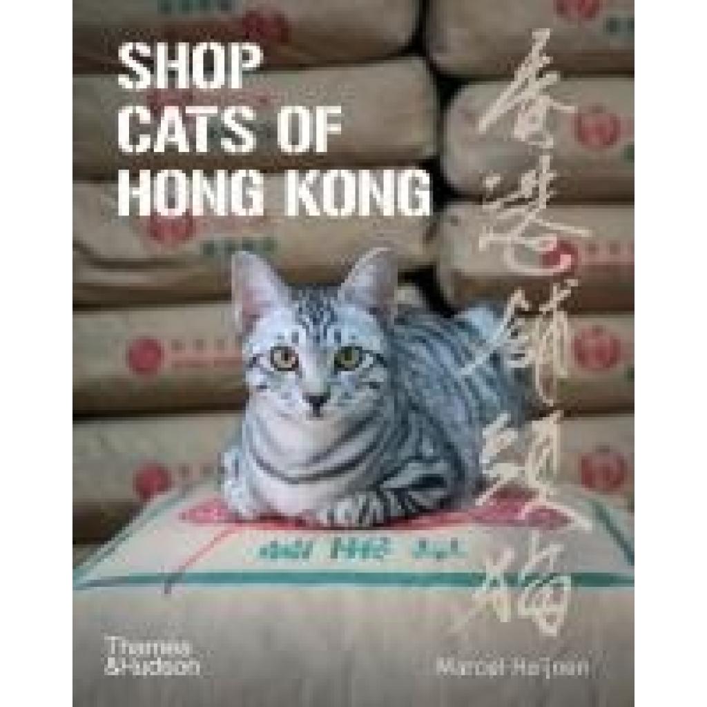 9780500296233 - Shop Cats of Hong Kong - Marcel Heijnen Kartoniert (TB)