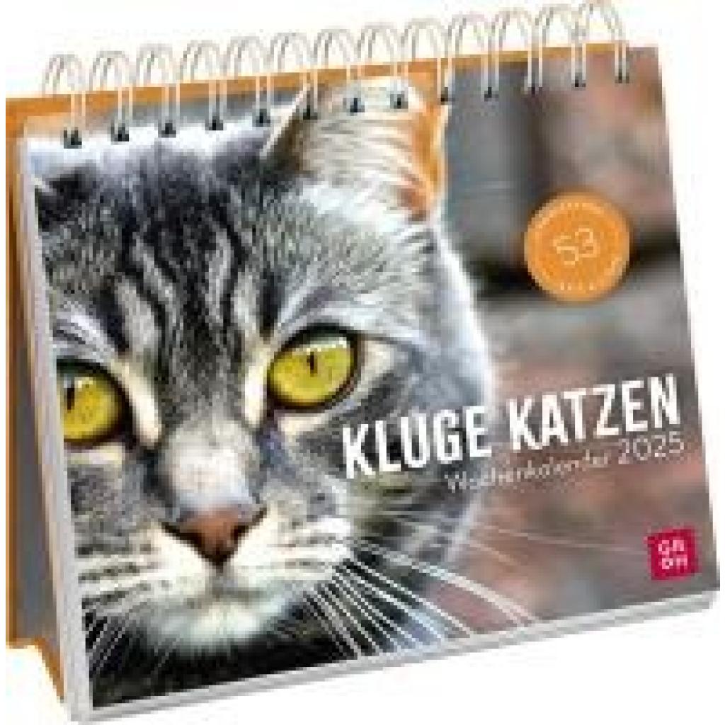 Schmoll, Kathrin: Wochenkalender 2025: Kluge Katzen