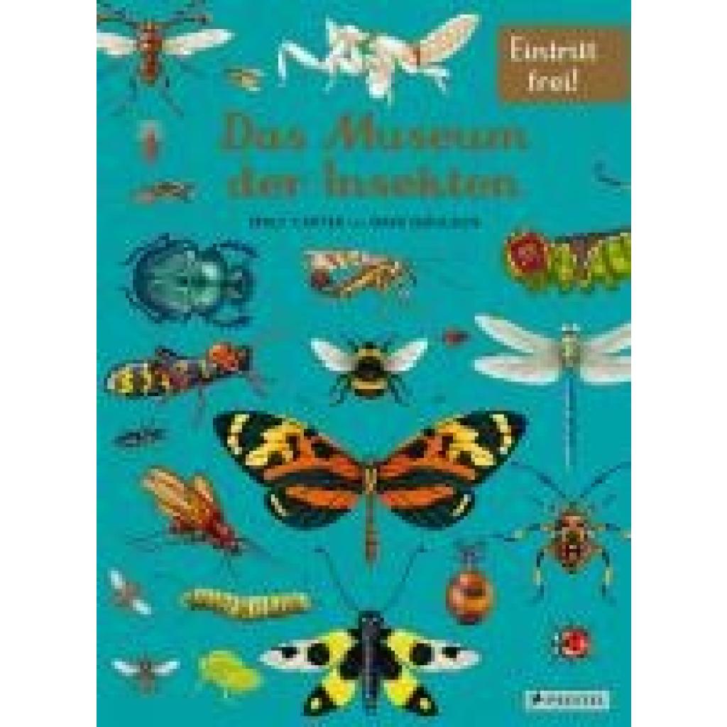 9783791375861 - Goulson Dave Das Museum der Insekten