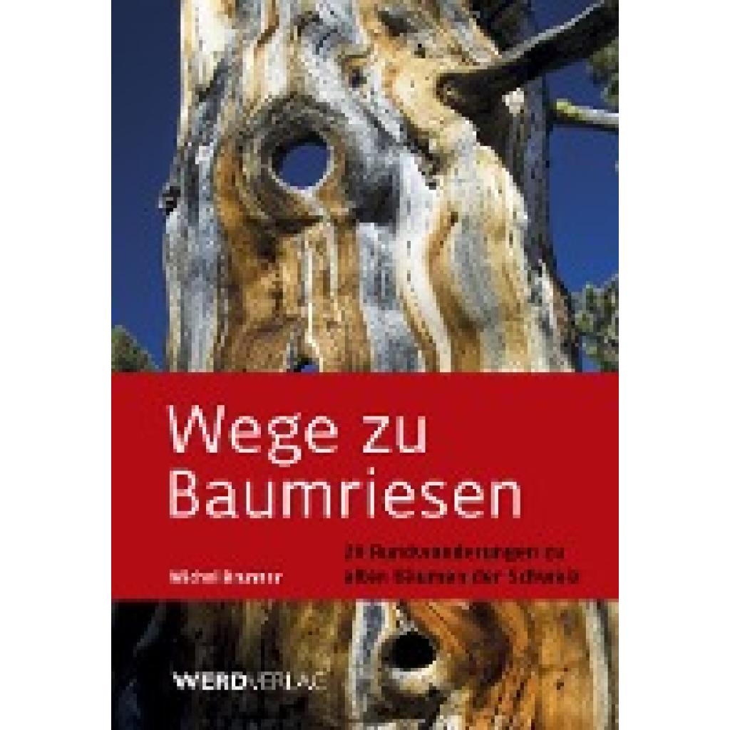 9783859326545 - Brunner Michel Wege zu Baumriesen