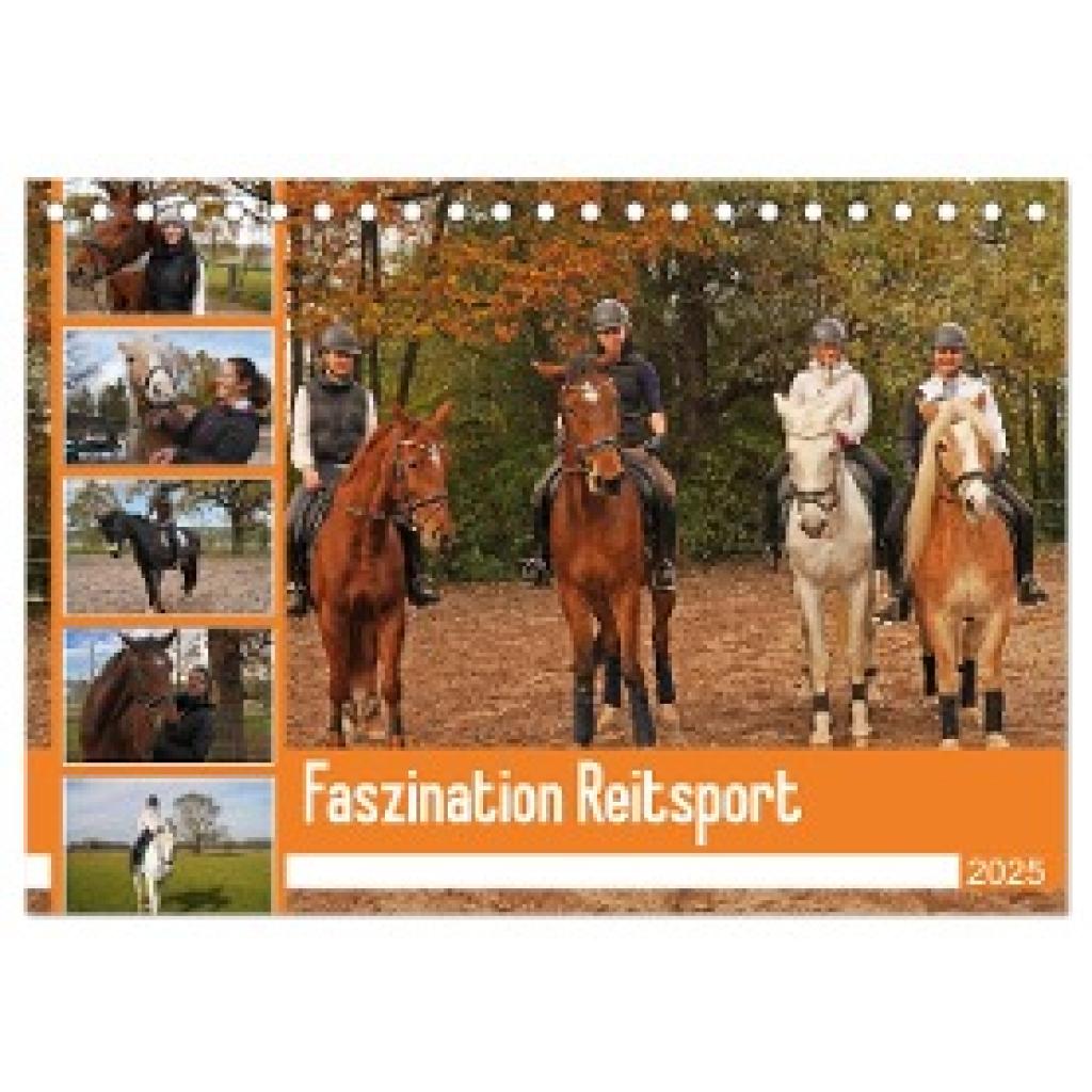 Paul - Babetts Bildergalerie, Babett: Faszination Reitsport (Tischkalender 2025 DIN A5 quer), CALVENDO Monatskalender