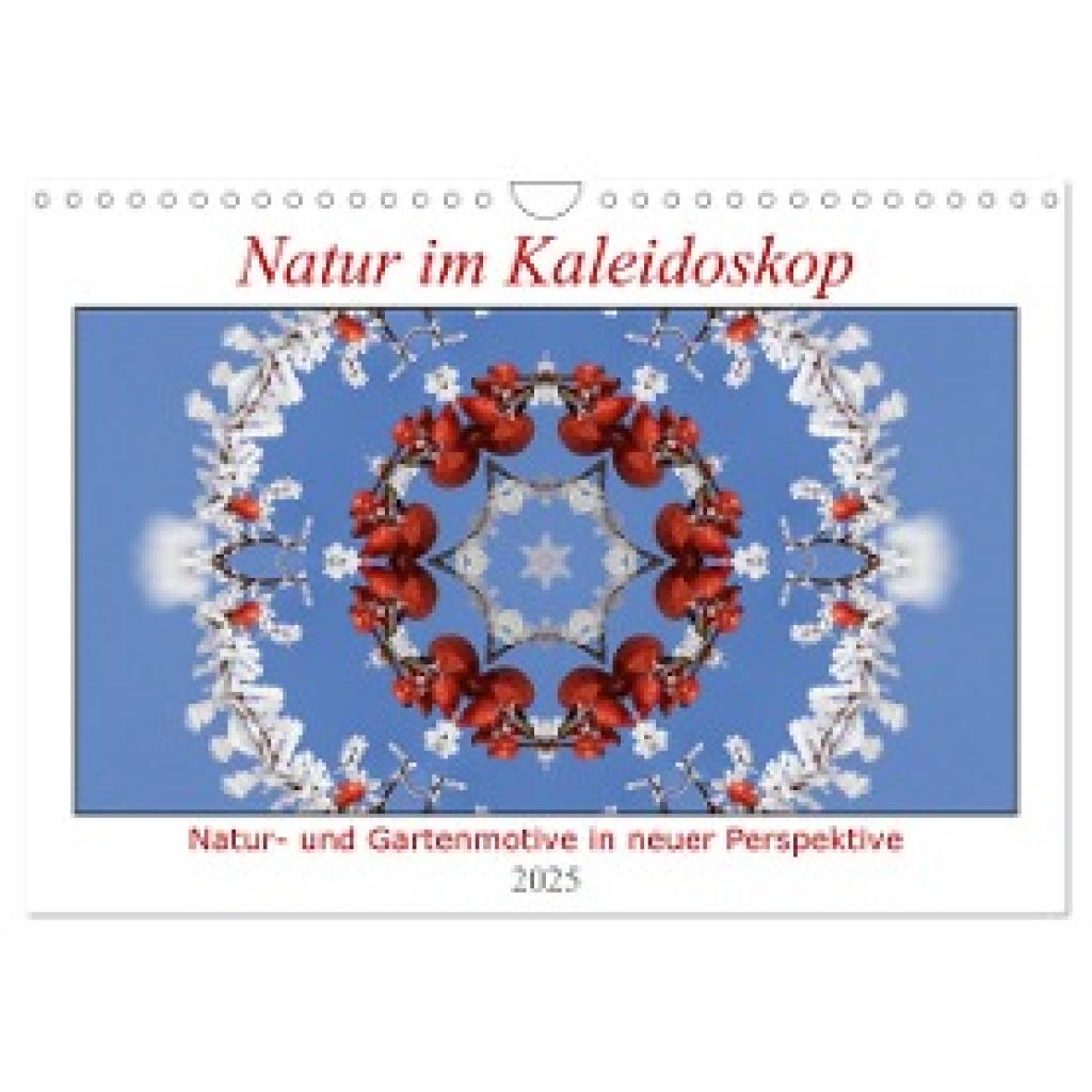 Wirtz, Hanne: Natur im Kaleidoskop (Wandkalender 2025 DIN A4 quer), CALVENDO Monatskalender