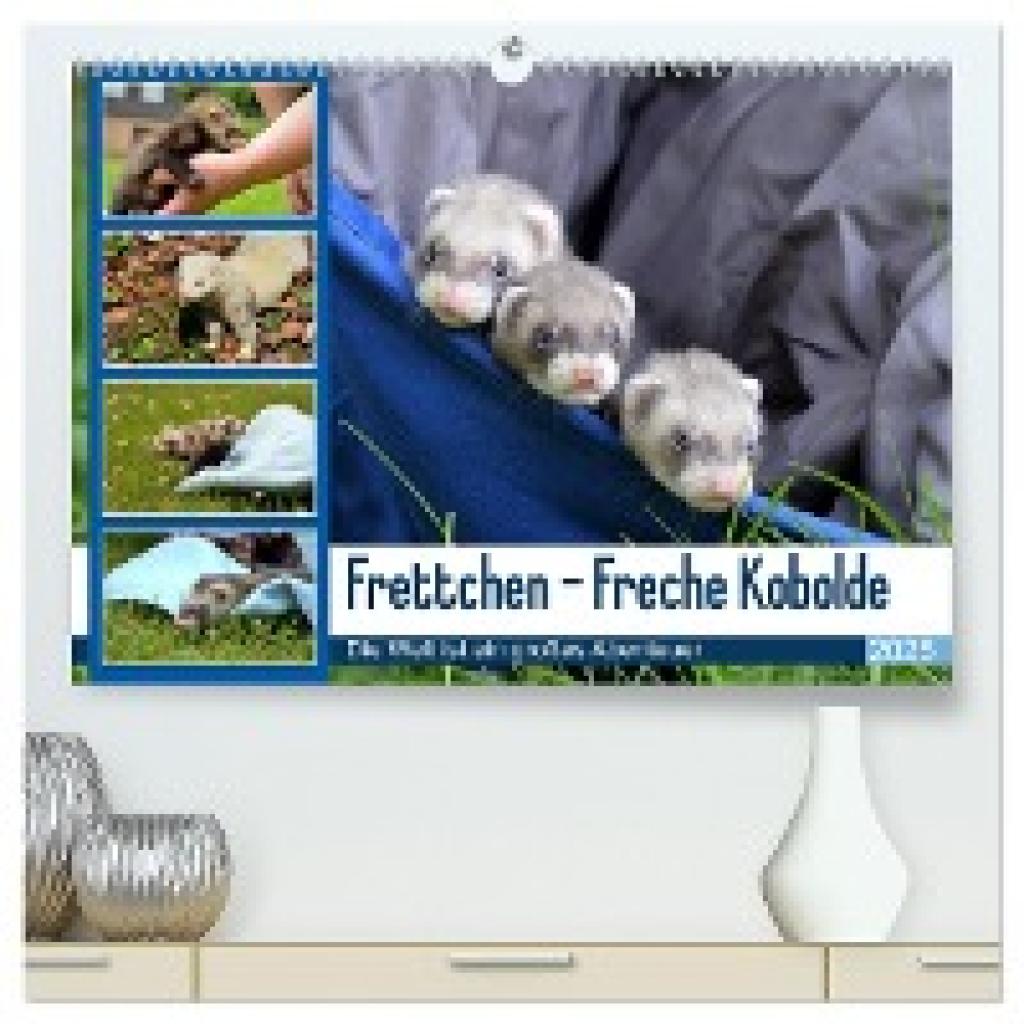 Schmidt, Bodo: Frettchen - Freche Kobolde (hochwertiger Premium Wandkalender 2025 DIN A2 quer), Kunstdruck in Hochglanz