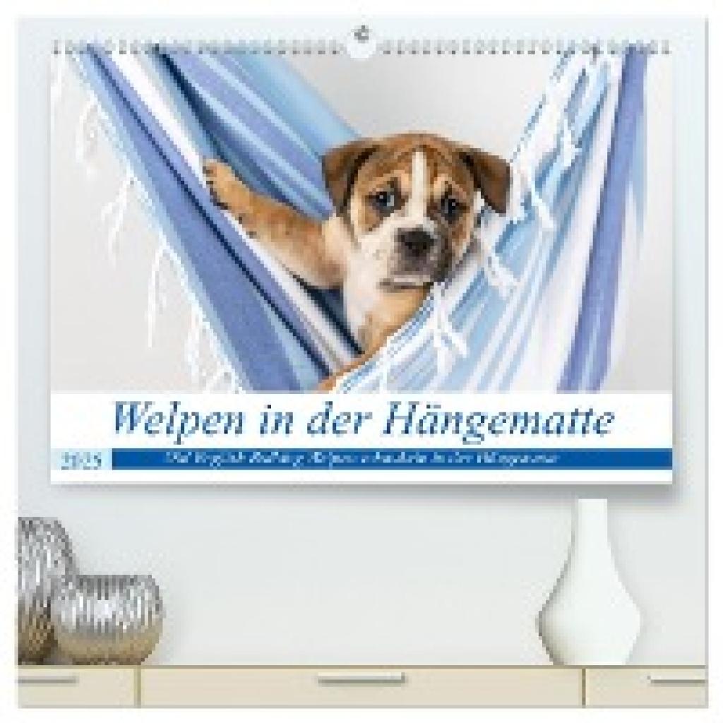 Verena Scholze, Fotodesign: Welpen in der Hängematte (hochwertiger Premium Wandkalender 2025 DIN A2 quer), Kunstdruck in