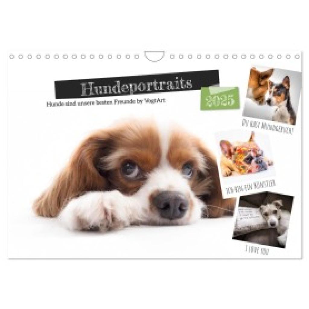 VogtArt, VogtArt: Hundeportraits, Hunde sind unsere besten Freunde by VogtArt (Wandkalender 2025 DIN A4 quer), CALVENDO 