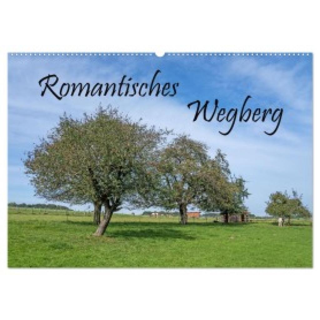 Maibach, Natalja: Romantisches Wegberg (Wandkalender 2025 DIN A2 quer), CALVENDO Monatskalender