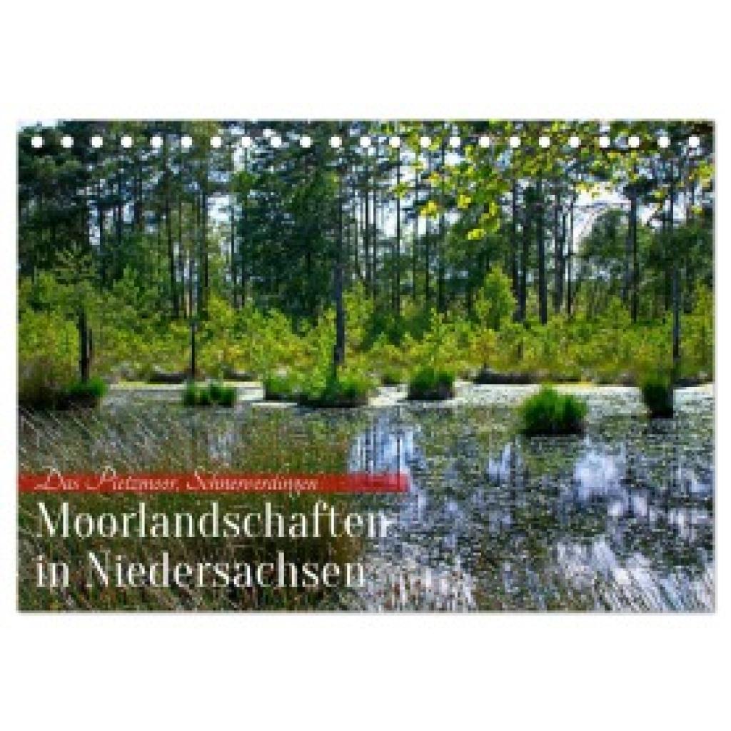 Nix-Schmidt, Markus: Niedersachsens Moorlandschaften - Das Pietzmoor, Schneverdingen (Tischkalender 2025 DIN A5 quer), C