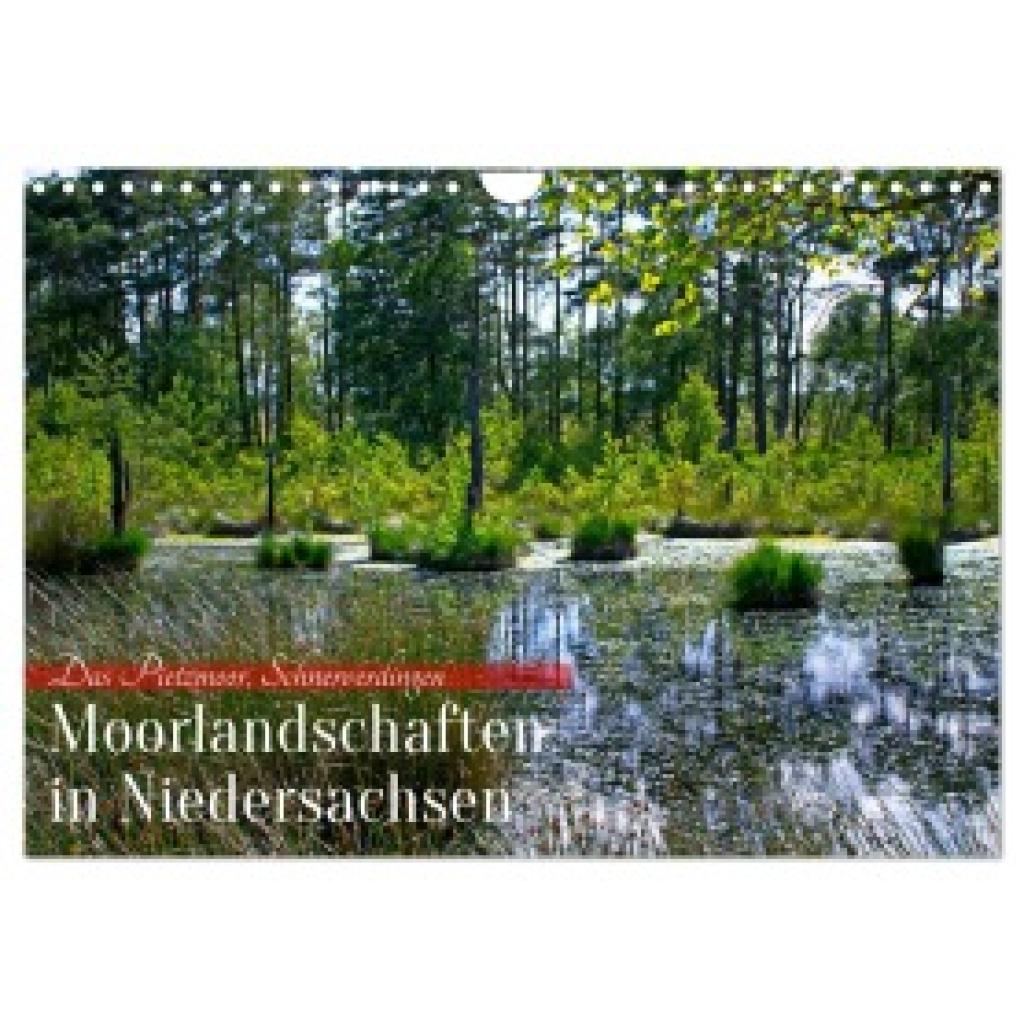 Nix-Schmidt, Markus: Niedersachsens Moorlandschaften - Das Pietzmoor, Schneverdingen (Wandkalender 2025 DIN A4 quer), CA