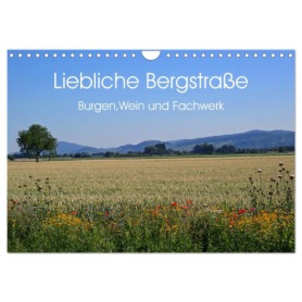 Andersen, Ilona: Liebliche Bergstraße - Burgen, Wein und Fachwerk (Wandkalender 2025 DIN A4 quer), CALVENDO Monatskalend