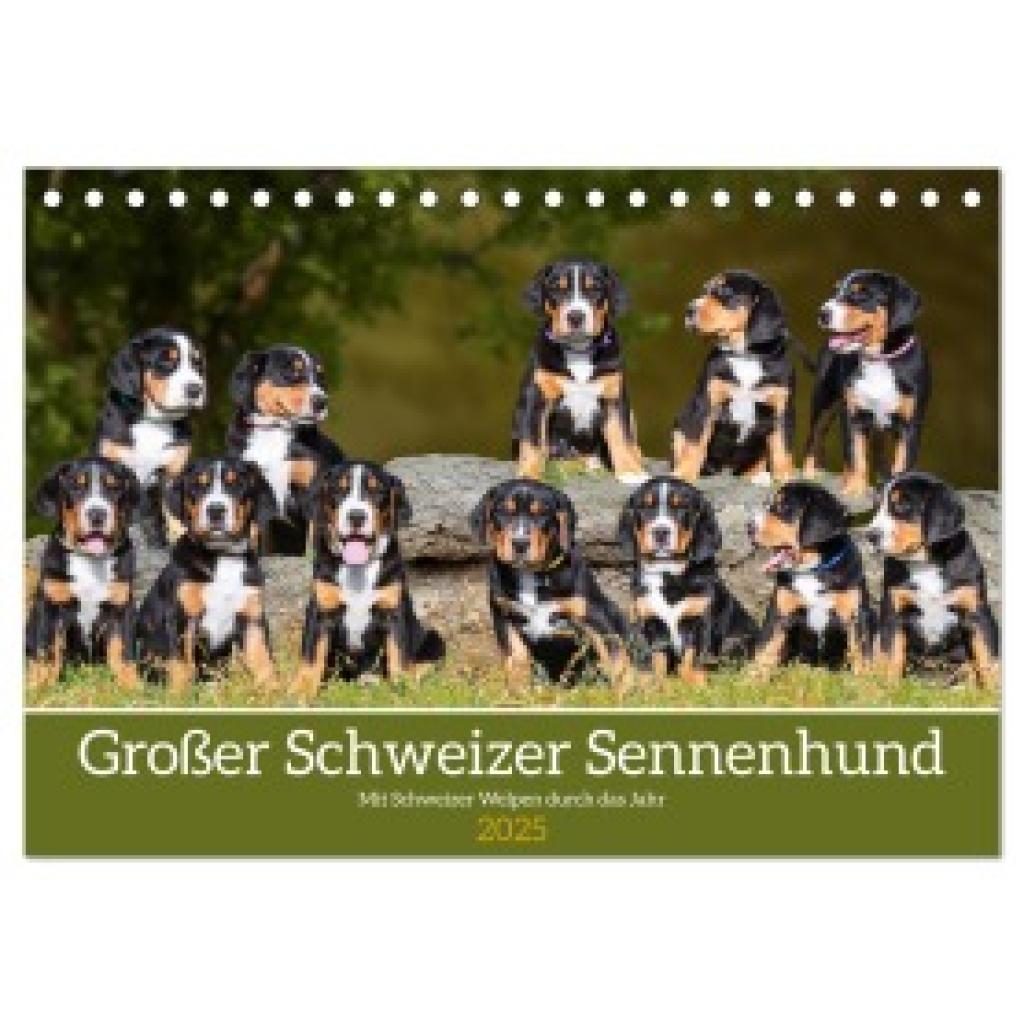 Starick, Sigrid: Großer Schweizer Sennenhund - Mit Schweizer Welpen durch das Jahr (Tischkalender 2025 DIN A5 quer), CAL