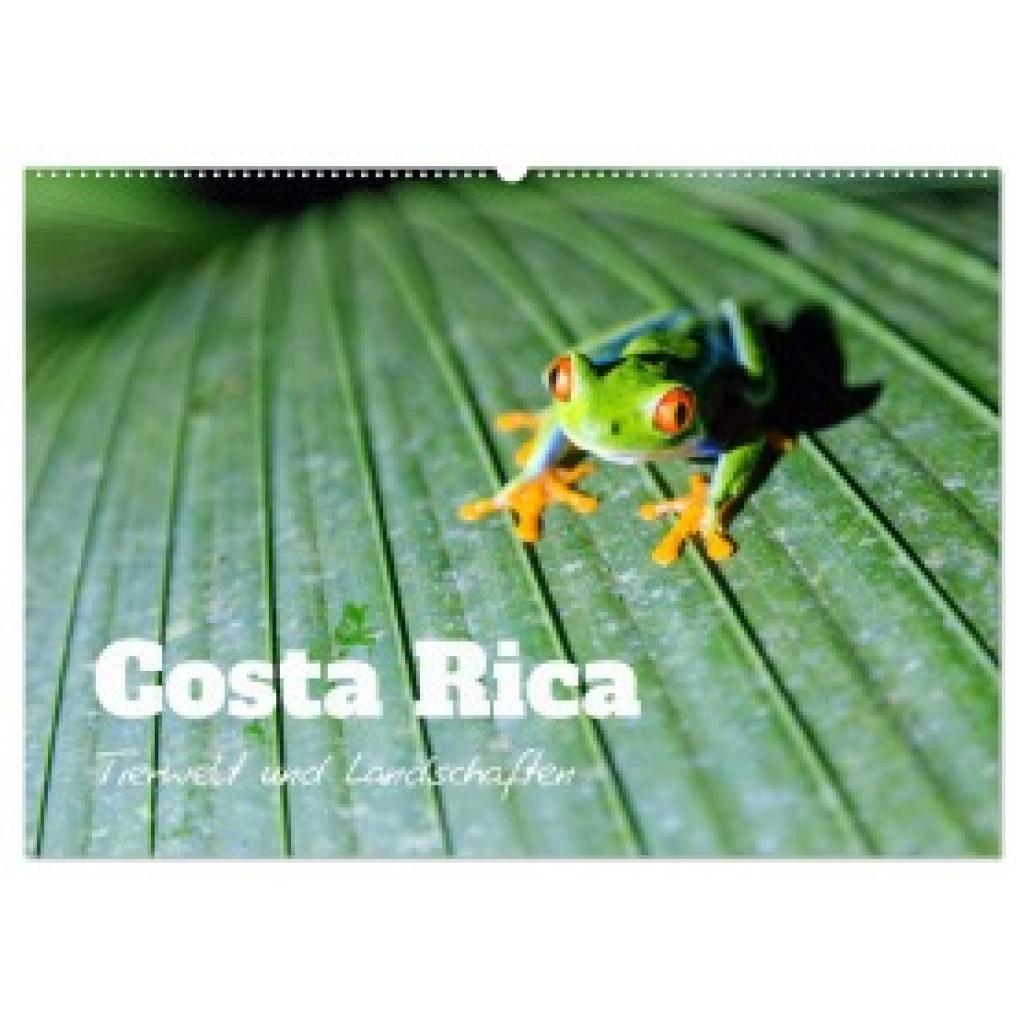 Colombo, Matteo: Costa Rica - Tierwelt und Landschaften (Wandkalender 2025 DIN A2 quer), CALVENDO Monatskalender