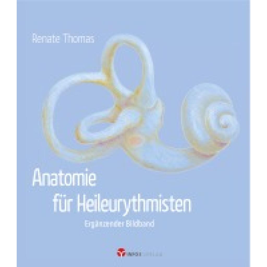 9783957790590 - Anatomie für Heileurythmisten - Renate Thomas Kartoniert (TB)