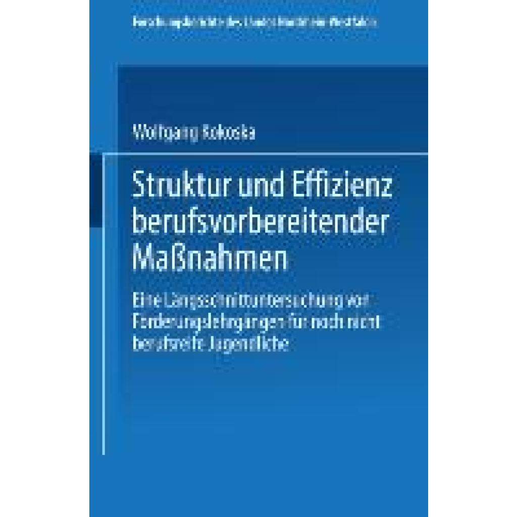 Kokoska, Wolfgang: Struktur und Effizienz berufsvorbereitender Maßnahmen