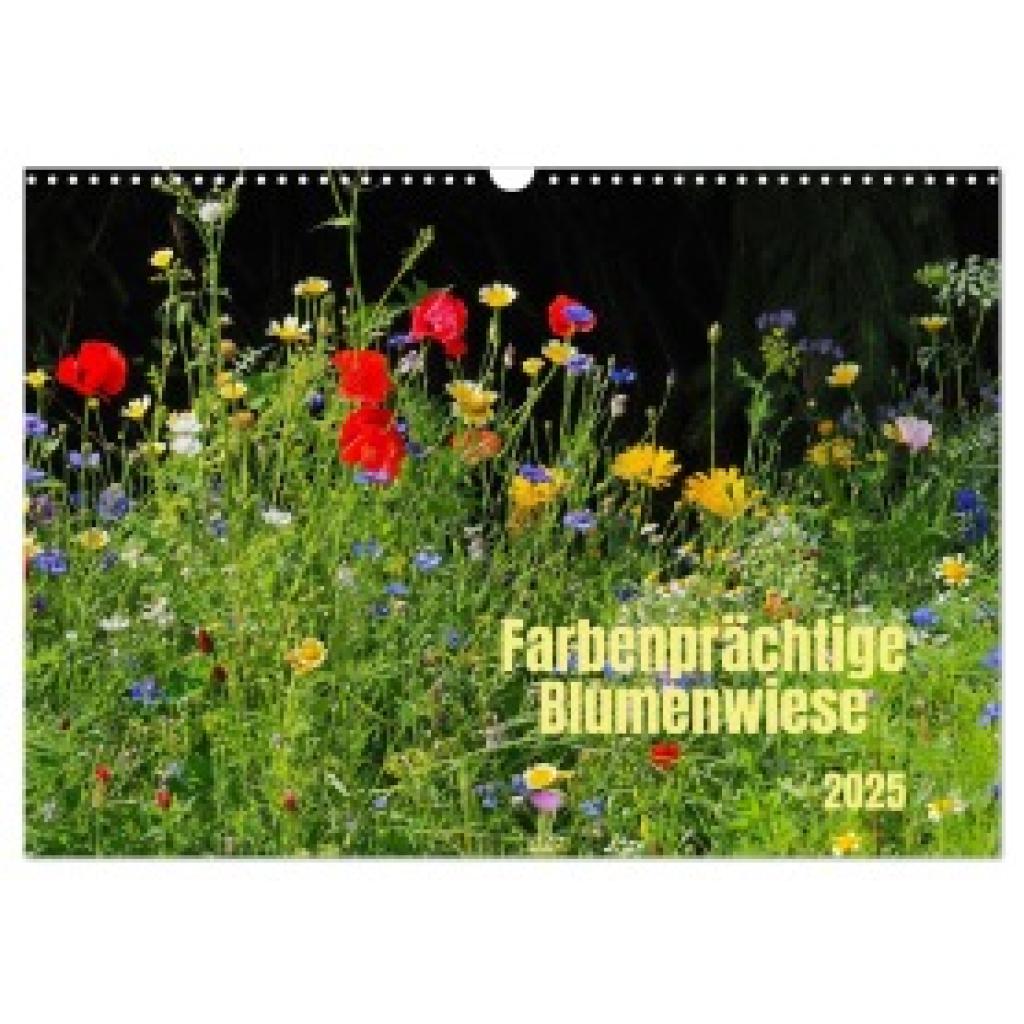 Seidel, Thilo: Farbenprächtige Blumenwiese (Wandkalender 2025 DIN A3 quer), CALVENDO Monatskalender