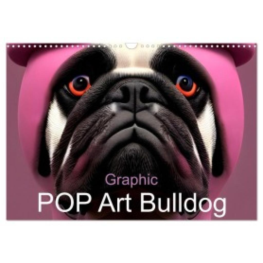 Augusto, Carina: Graphic PoP Art Bulldogge (Wandkalender 2025 DIN A3 quer), CALVENDO Monatskalender