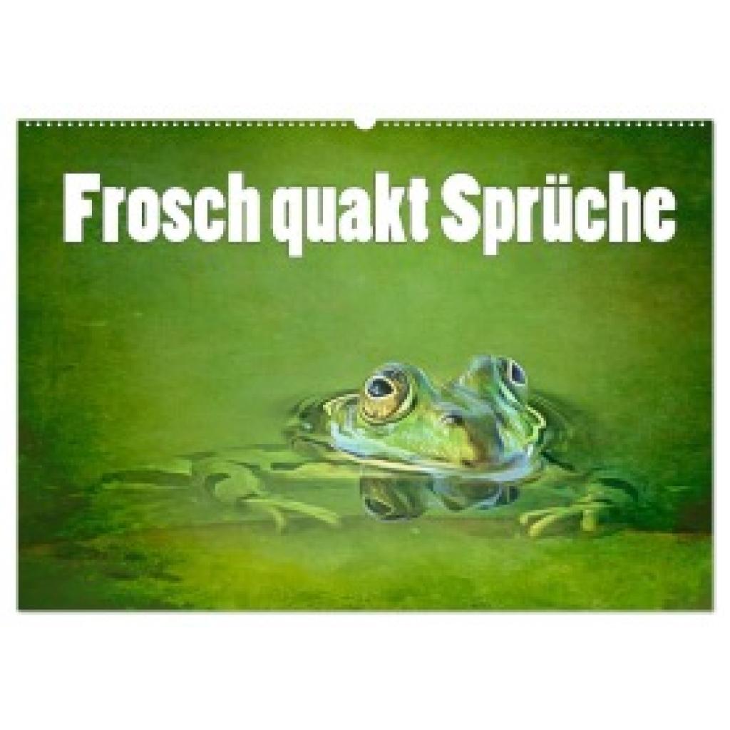 Brunner-Klaus, Liselotte: Frosch quakt Sprüche (Wandkalender 2025 DIN A2 quer), CALVENDO Monatskalender