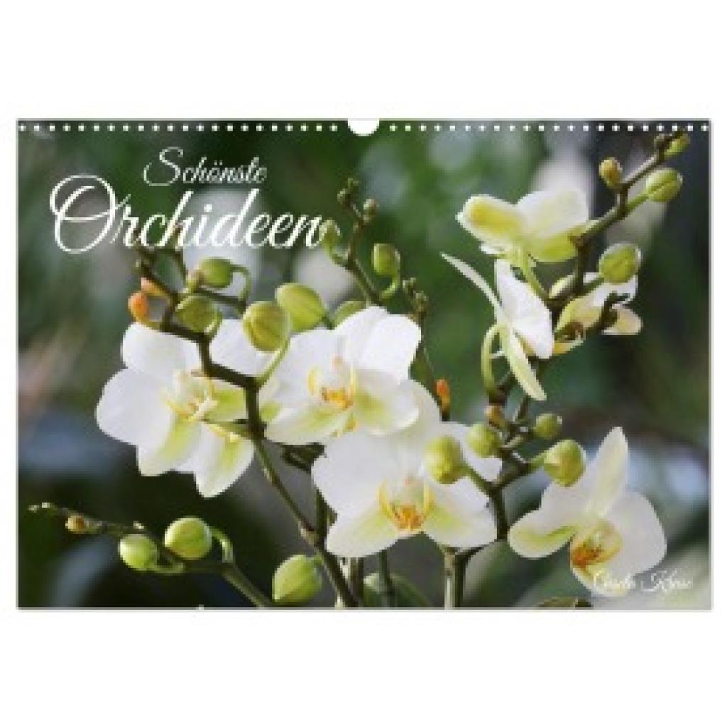 Kruse, Gisela: Schönste Orchideen (Wandkalender 2025 DIN A3 quer), CALVENDO Monatskalender