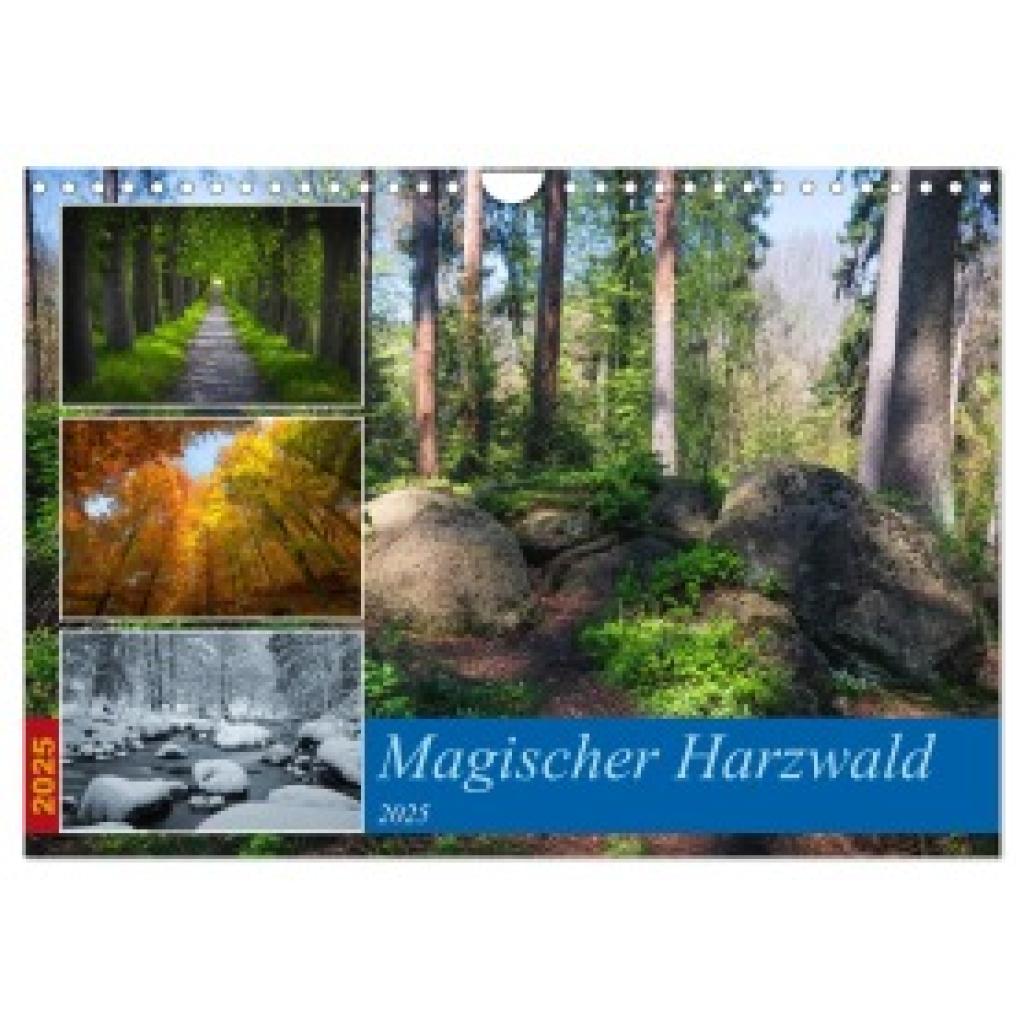 Gierok-Latniak, Steffen: Magischer Harzwald (Wandkalender 2025 DIN A4 quer), CALVENDO Monatskalender