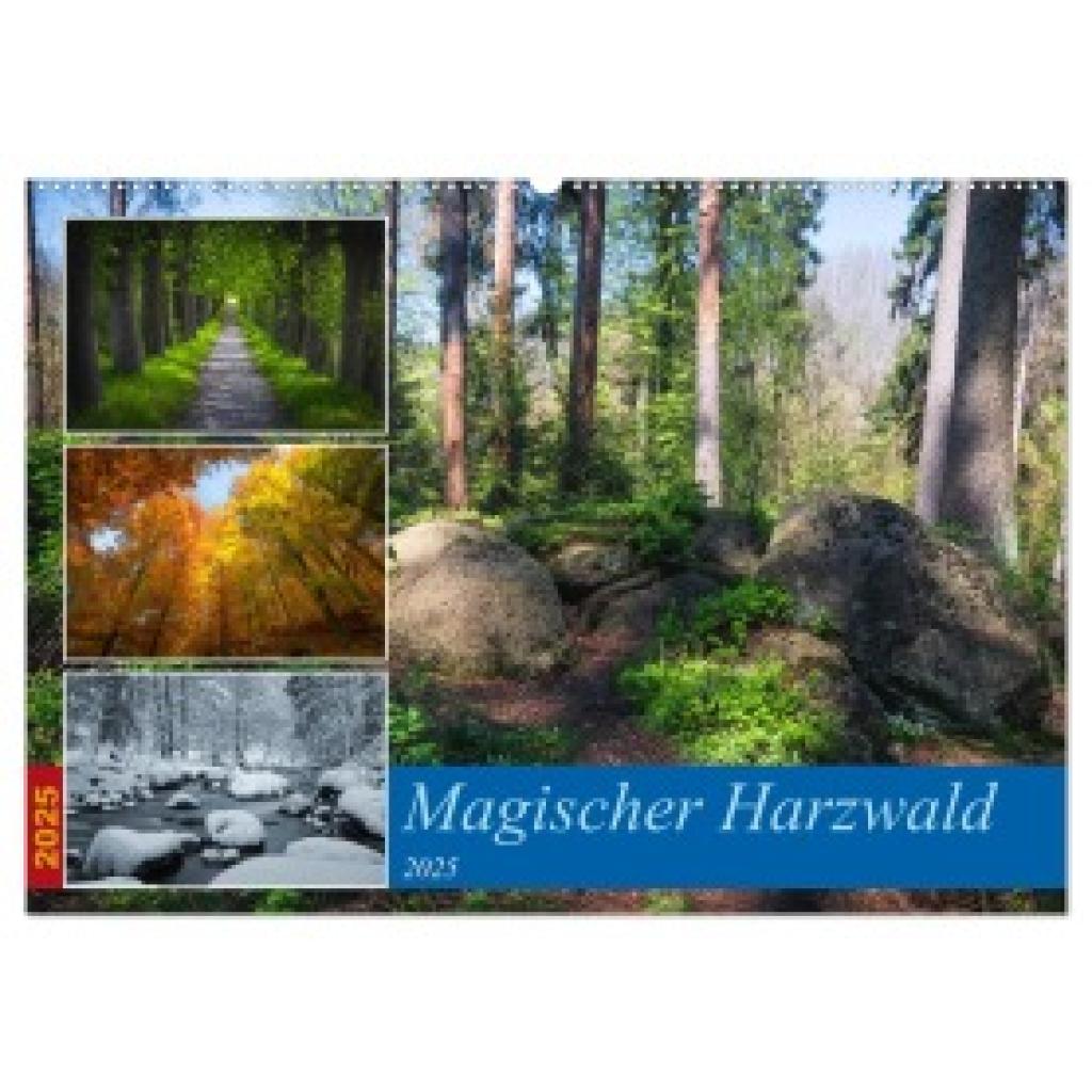 Gierok-Latniak, Steffen: Magischer Harzwald (Wandkalender 2025 DIN A2 quer), CALVENDO Monatskalender