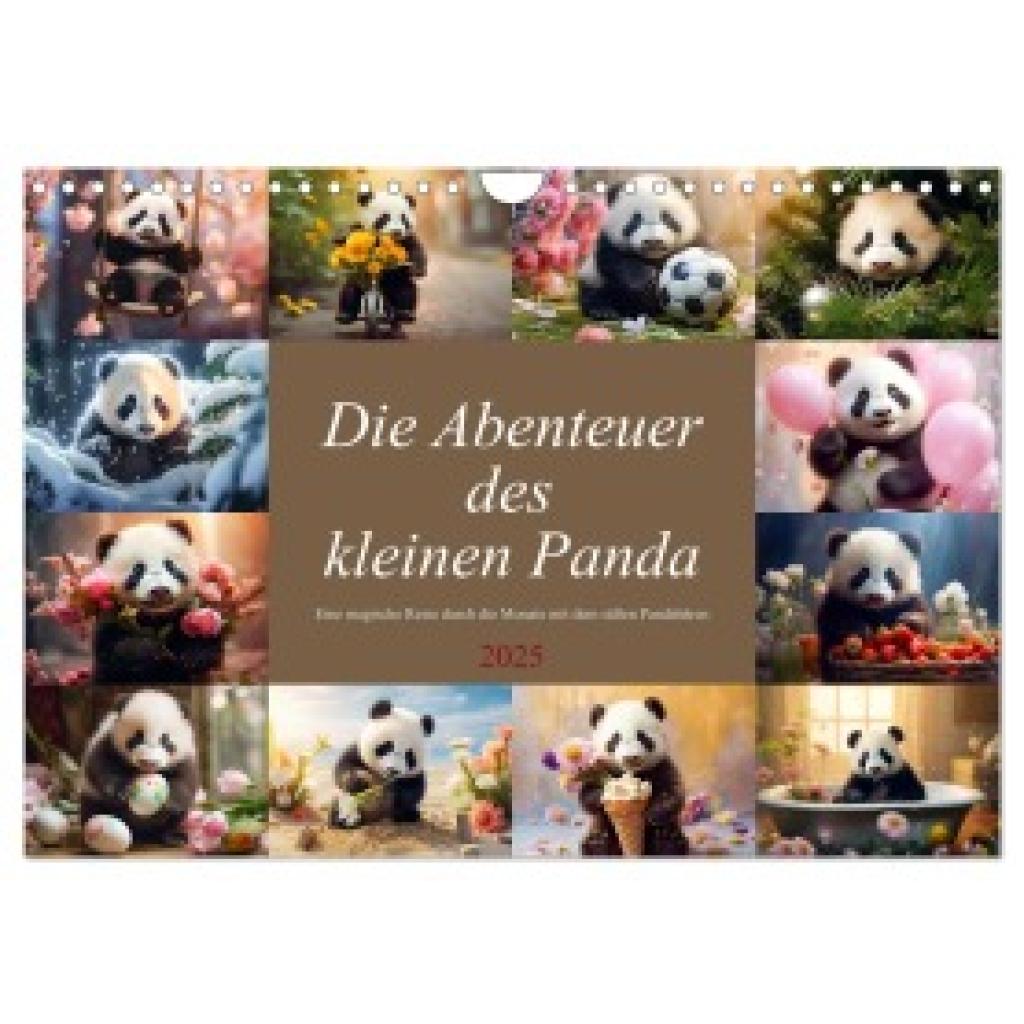 Meutzner, Dirk: Die Abenteuer des kleinen Panda (Wandkalender 2025 DIN A4 quer), CALVENDO Monatskalender