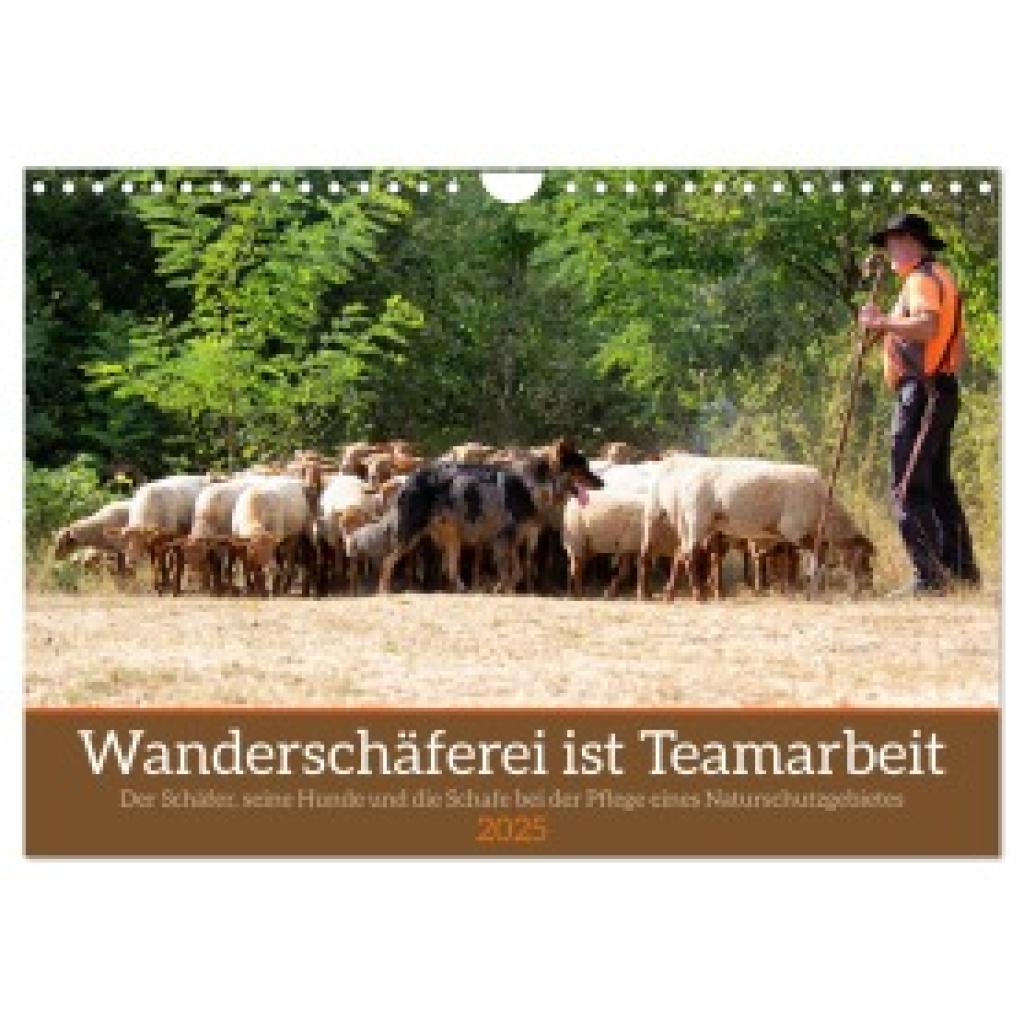 Sixt, Marion: Wanderschäferei ist Teamarbeit (Wandkalender 2025 DIN A4 quer), CALVENDO Monatskalender