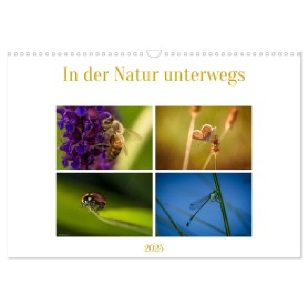 kaufmann Fotos, Ralf: In der Natur unterwegs (Wandkalender 2025 DIN A3 quer), CALVENDO Monatskalender