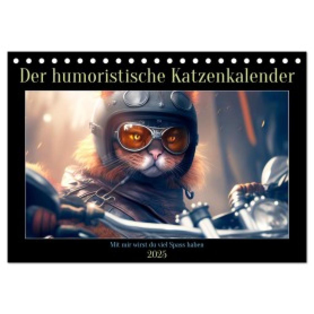 Rübsamen, Peter: Der humoristische Katzen Kalender (Tischkalender 2025 DIN A5 quer), CALVENDO Monatskalender