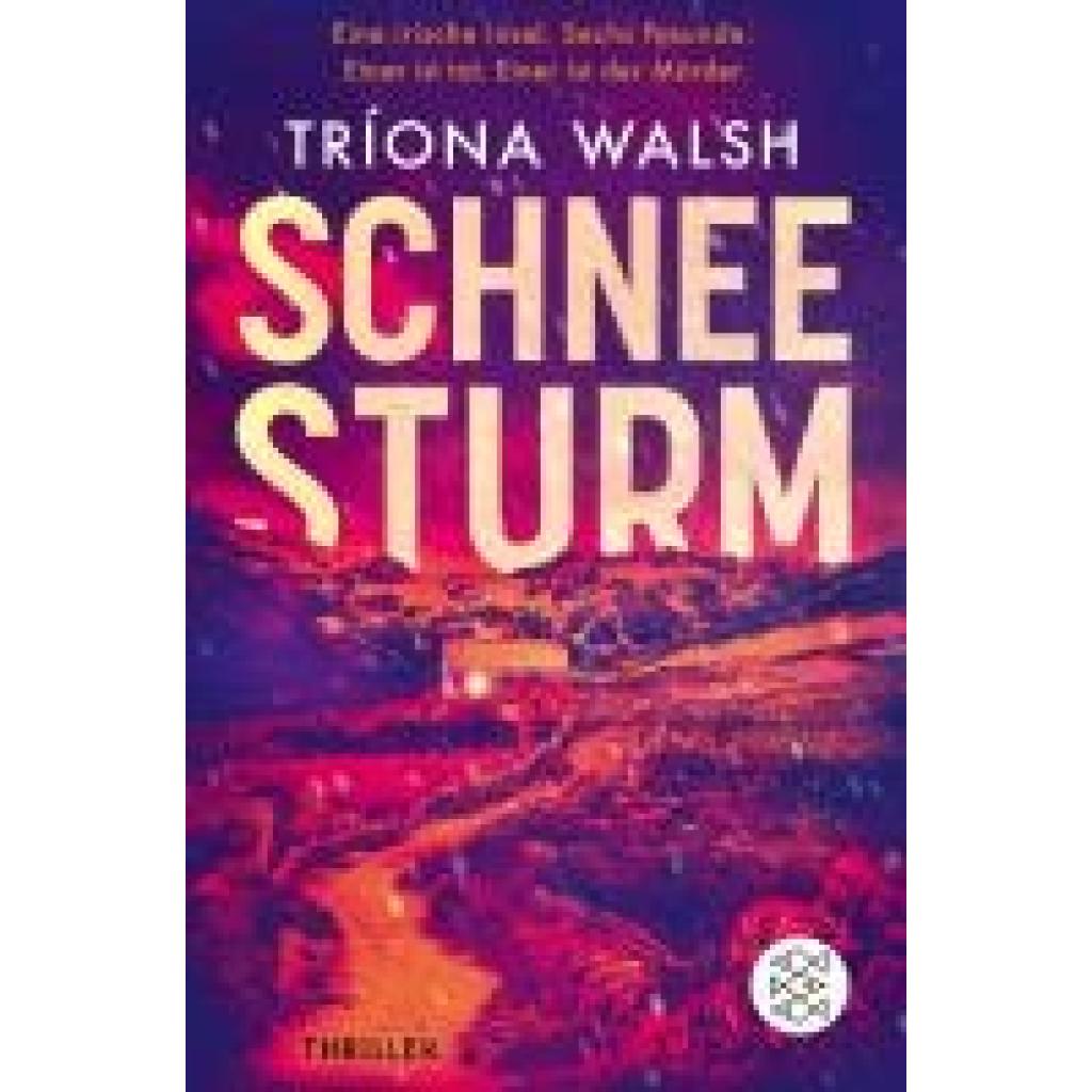 9783596709007 - Walsh Tríona Schneesturm