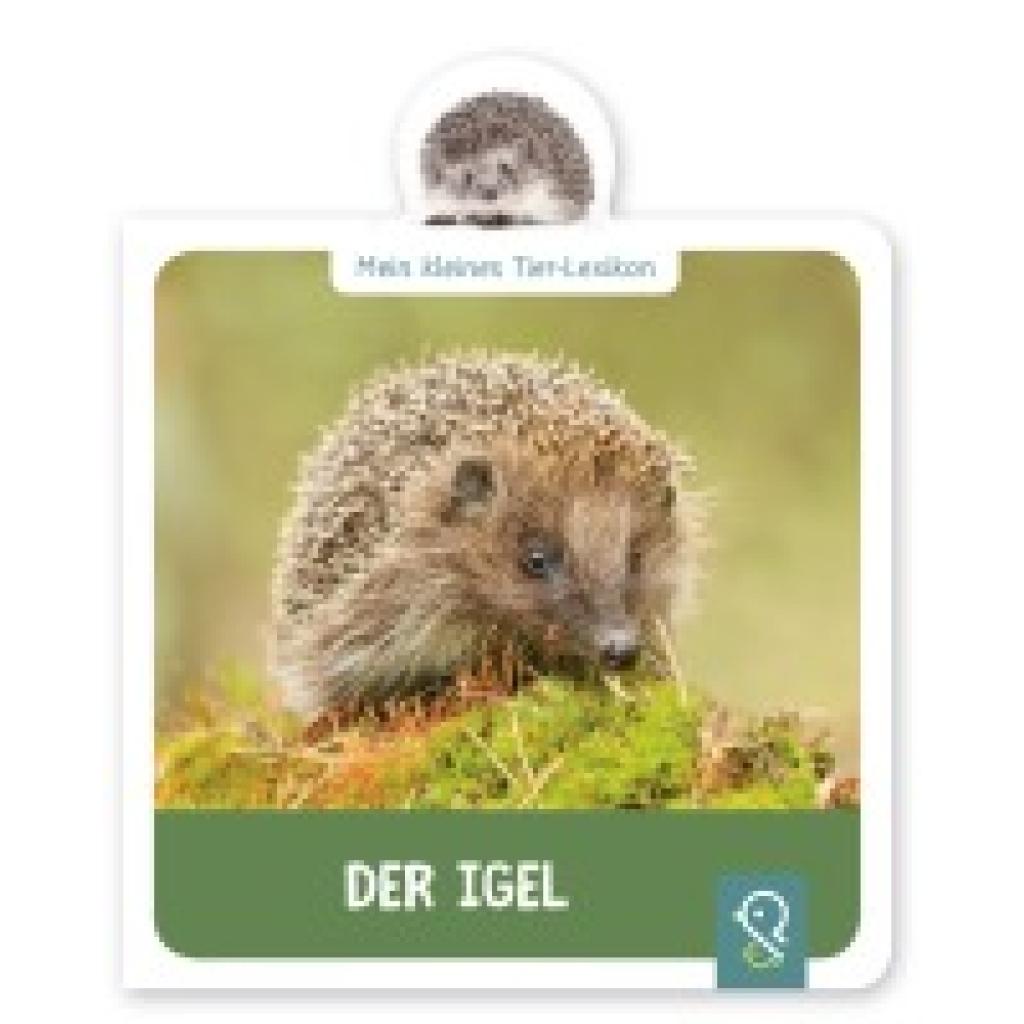 9783946360162 - Mein kleines Tier-Lexikon   Mein kleines Tier-Lexikon - Der Igel - Hannah Kastenhuber Gebunden