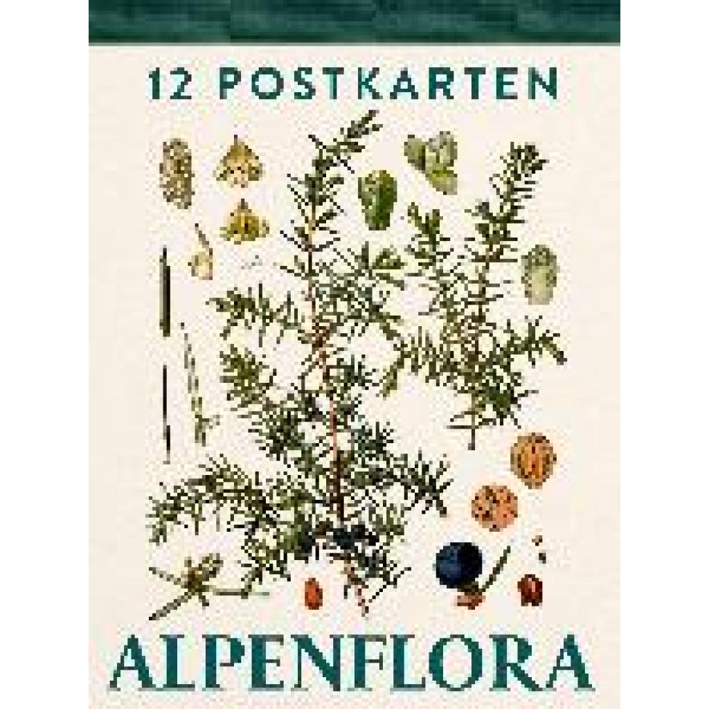 9783702511449 - Alpenflora