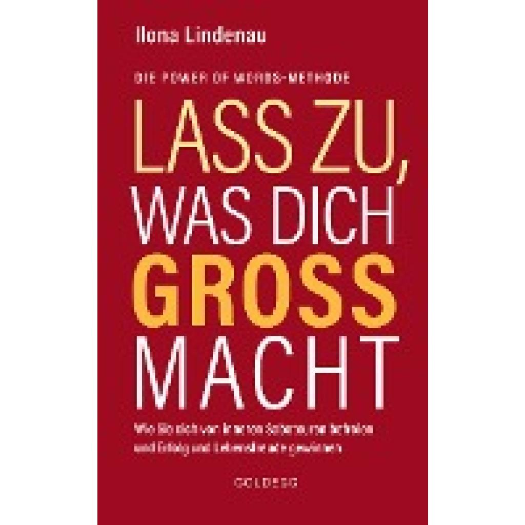 9783990601310 - Lindenau Ilona Lass zu was dich groß macht