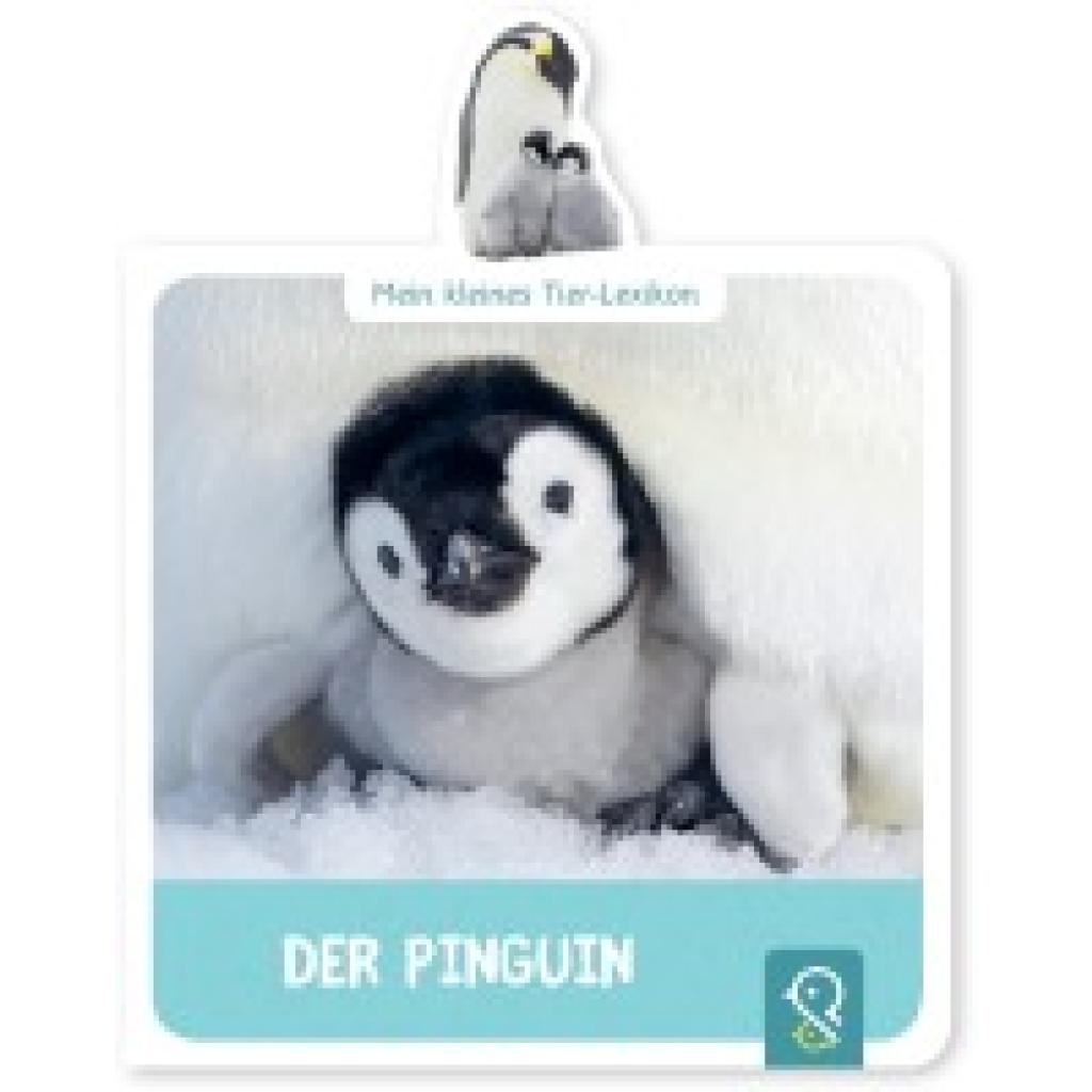 9783946360070 - Mein kleines Tier-Lexikon Mein kleines Tier-Lexikon - Der Pinguin - Hannah Kastenhuber Gebunden 9783946360070 - Mein kleines Tier-Lexikon Mein kleines Tier-Lexikon - Der Pinguin - Hannah Kastenhuber Gebunden