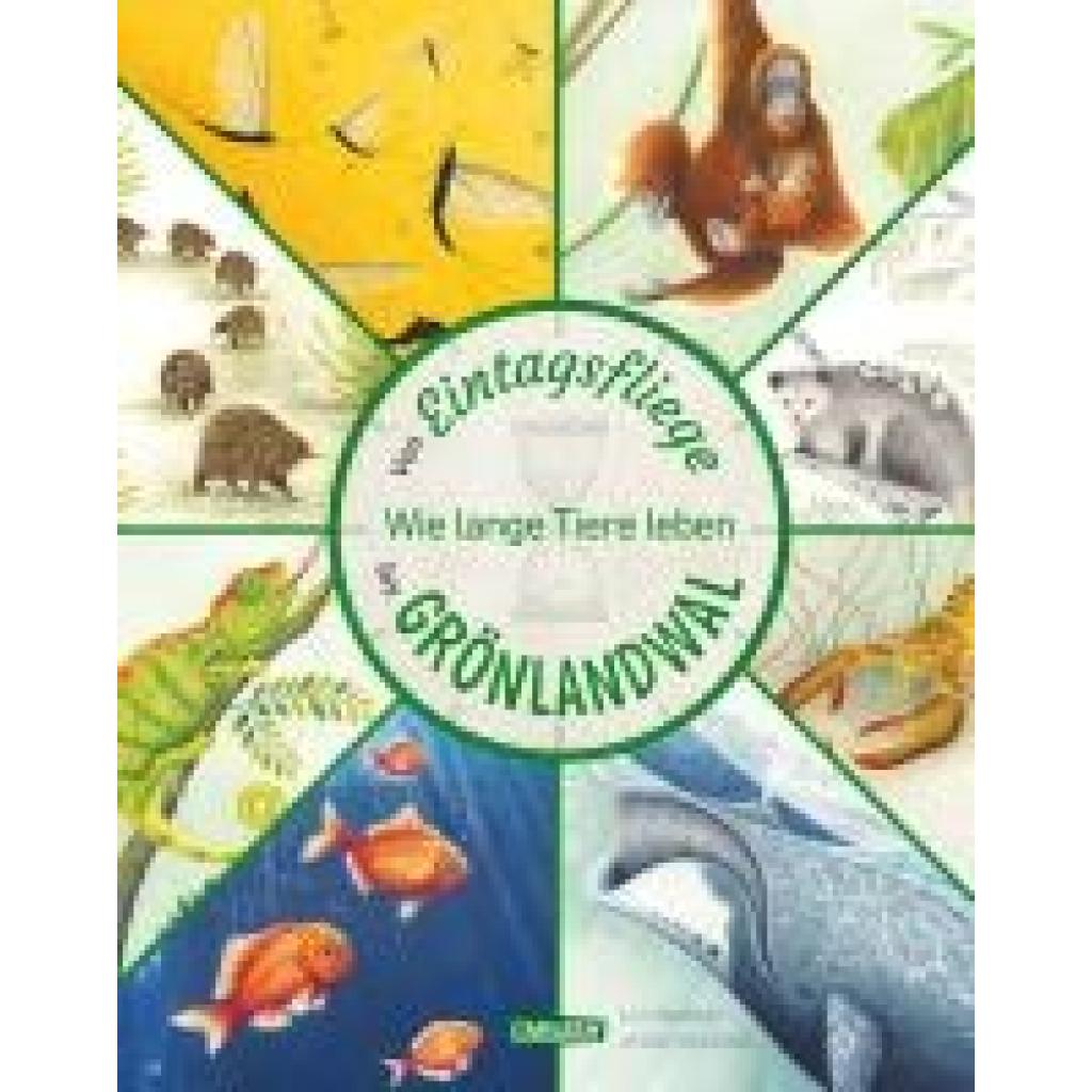 9783551255051 - Murray Lily Von Eintagsfliege bis Grönlandwal 9783551255051 - Murray Lily Von Eintagsfliege bis Grönlandwal