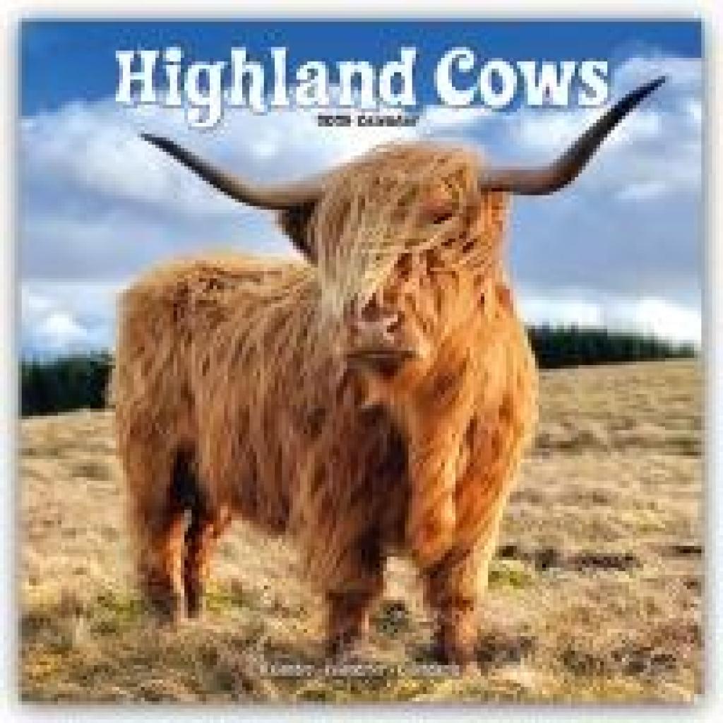 Avonside Publishing Ltd: Higland Cows - Hochland Rinder 2025 - 16-Monatskalender