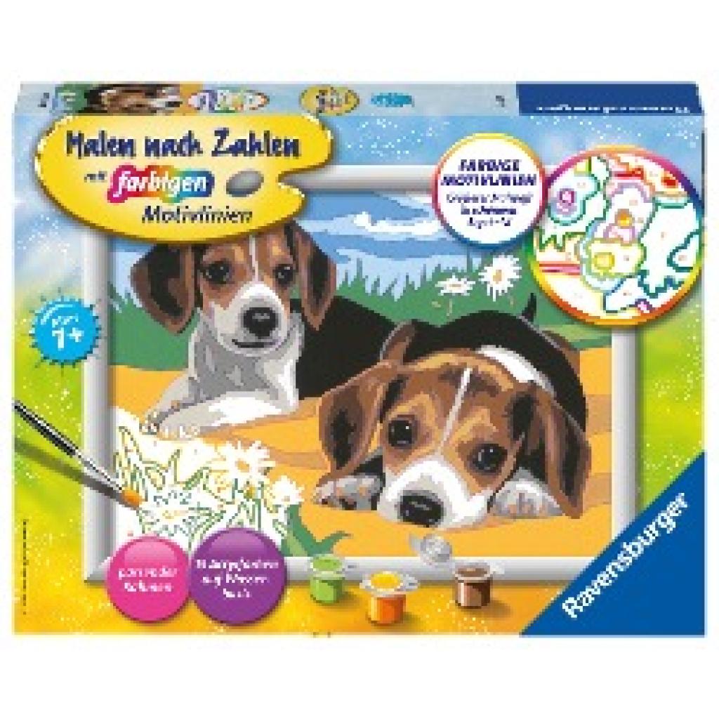 Jack Russel Welpen. Malen nach Zahlen Serie D