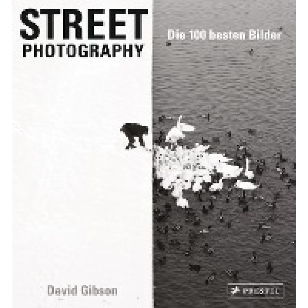 9783791383354 - Street Photography Die 100 besten Bilder - David Gibson Gebunden