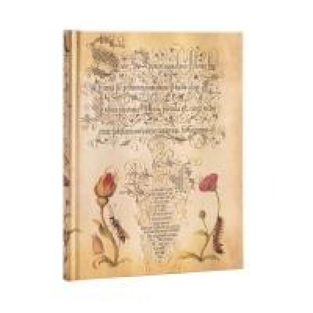 9781439781739 - Hardcover Notizbuch Flämische Rose Ultra Unliniert